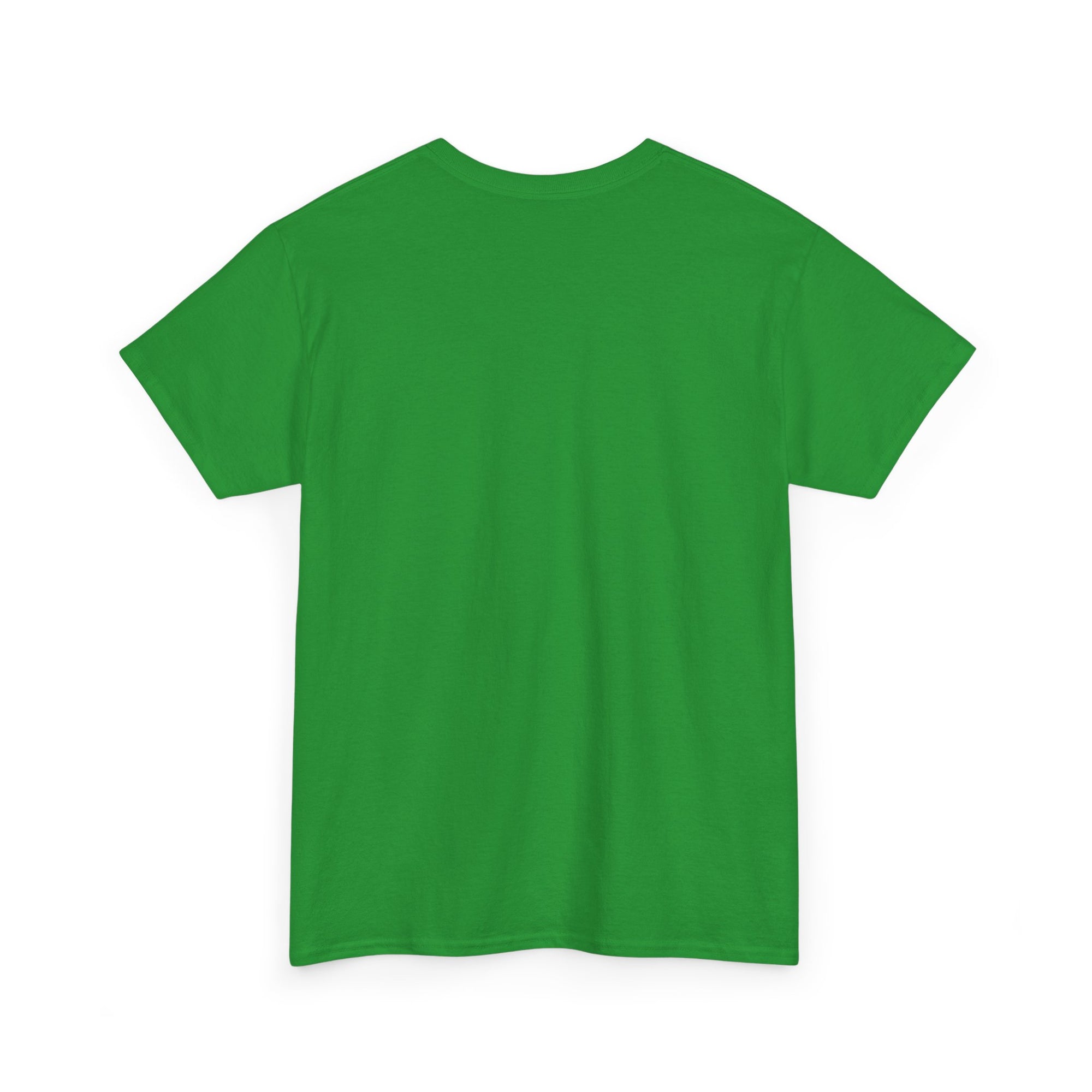 Aquarius | Gildan 5000 | Unisex Heavy Cotton Tee