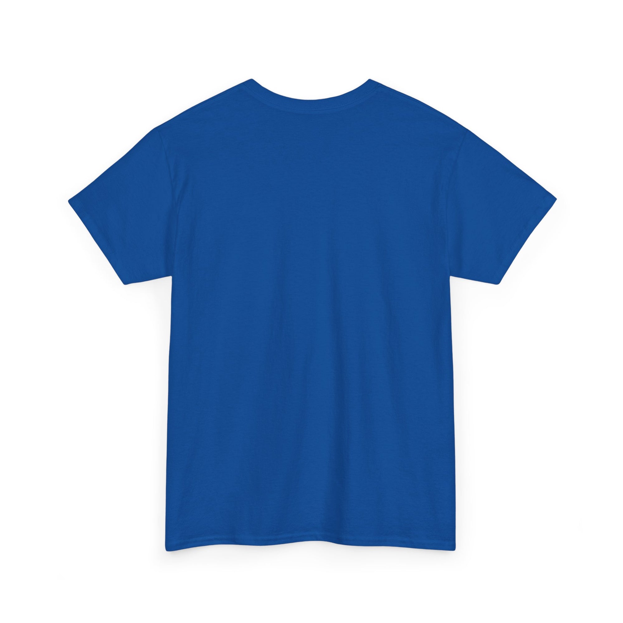Aquarius | Gildan 5000 | Unisex Heavy Cotton Tee