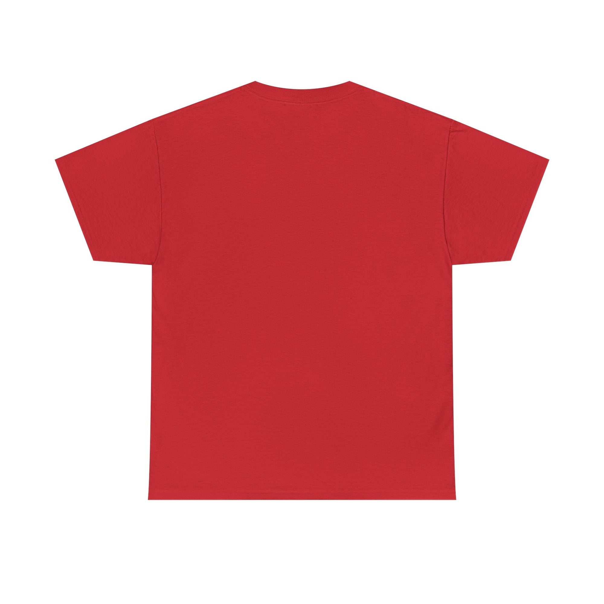 Aquarius | Gildan 5000 | Unisex Heavy Cotton Tee