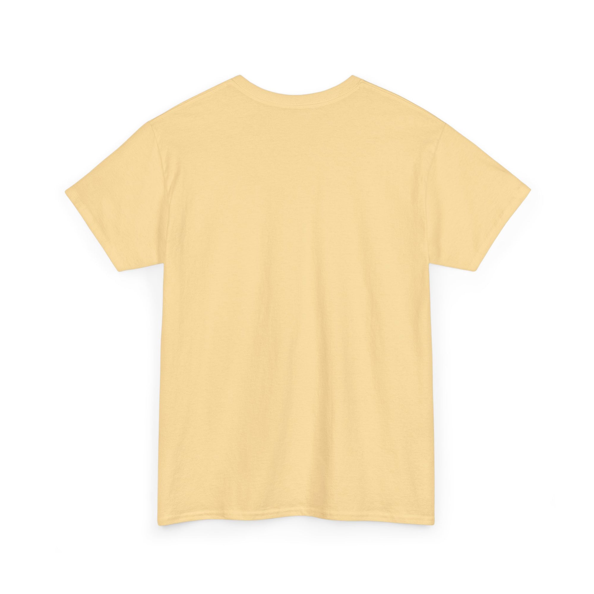 Aquarius | Gildan 5000 | Unisex Heavy Cotton Tee