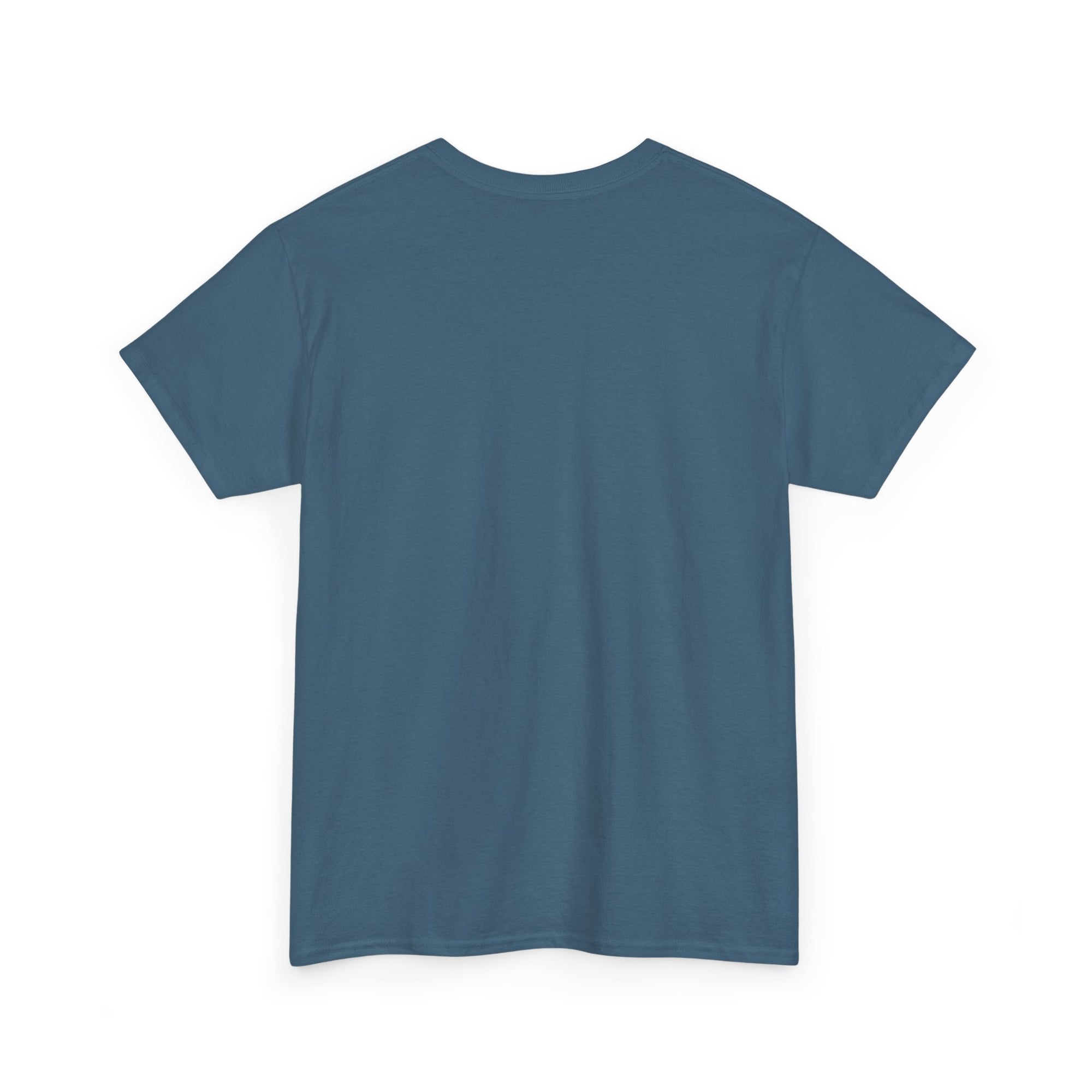 Aquarius | Gildan 5000 | Unisex Heavy Cotton Tee
