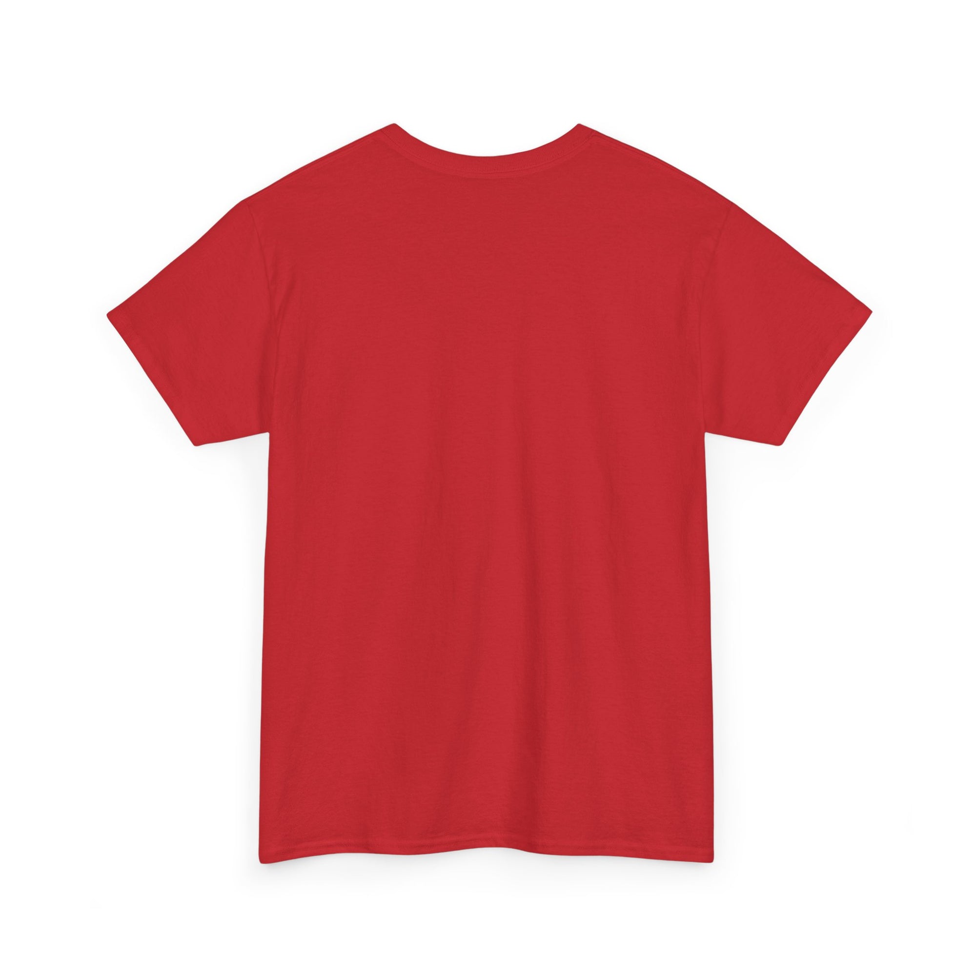 Aquarius | Gildan 5000 | Unisex Heavy Cotton Tee