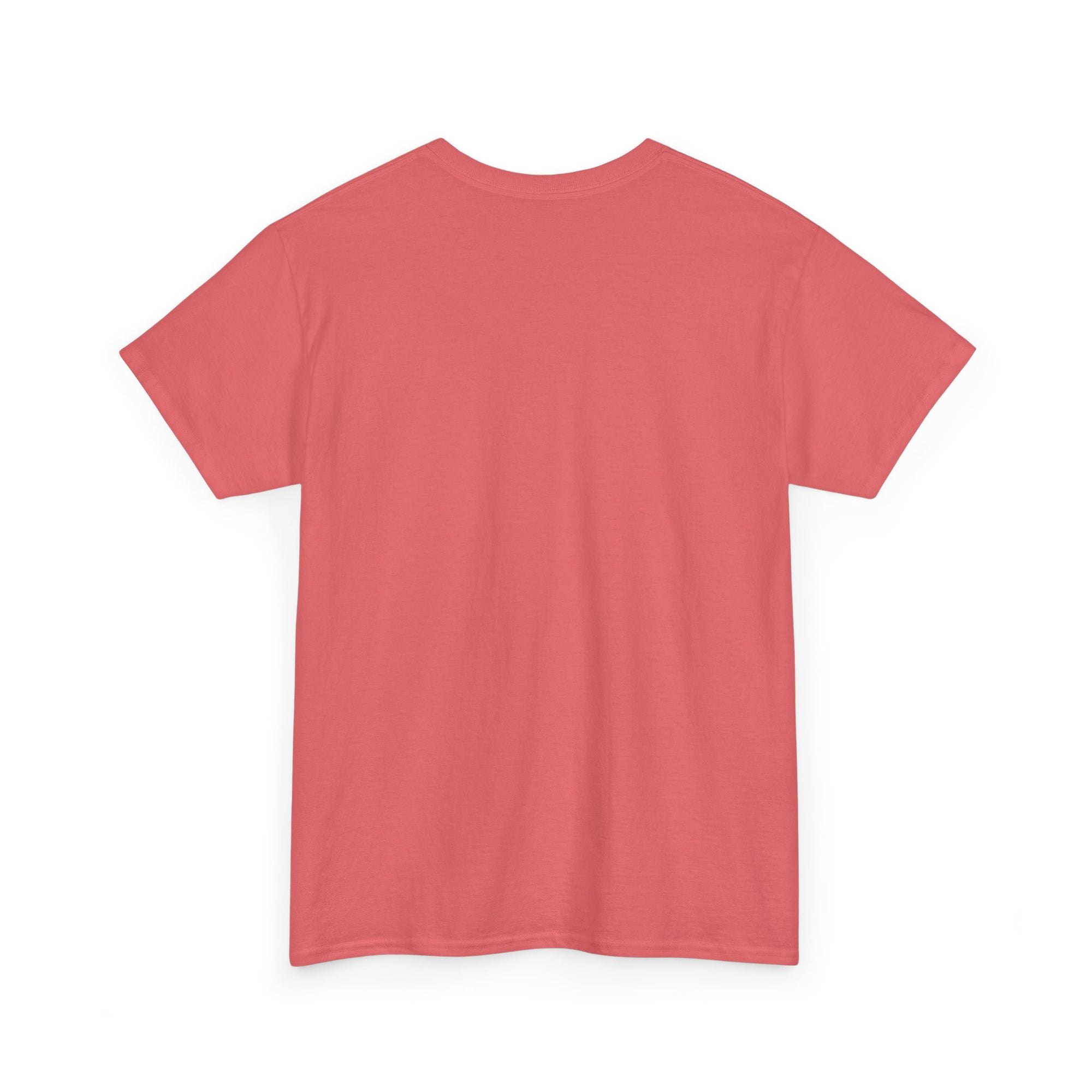 Aquarius | Gildan 5000 | Unisex Heavy Cotton Tee