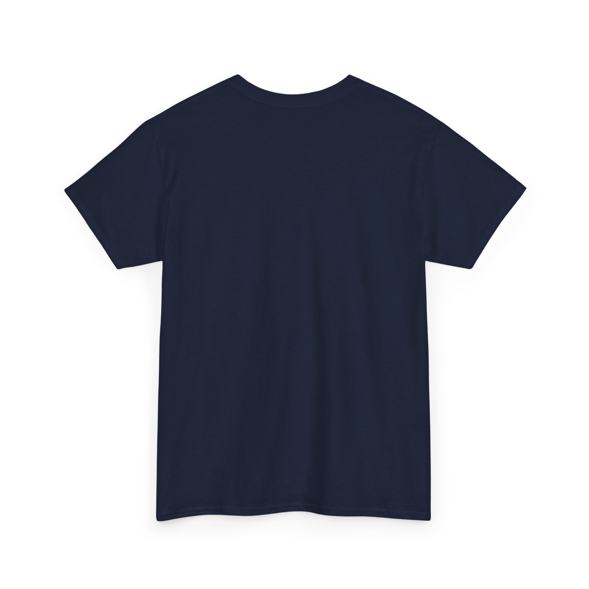 Aquarius | Gildan 5000 | Unisex Heavy Cotton Tee