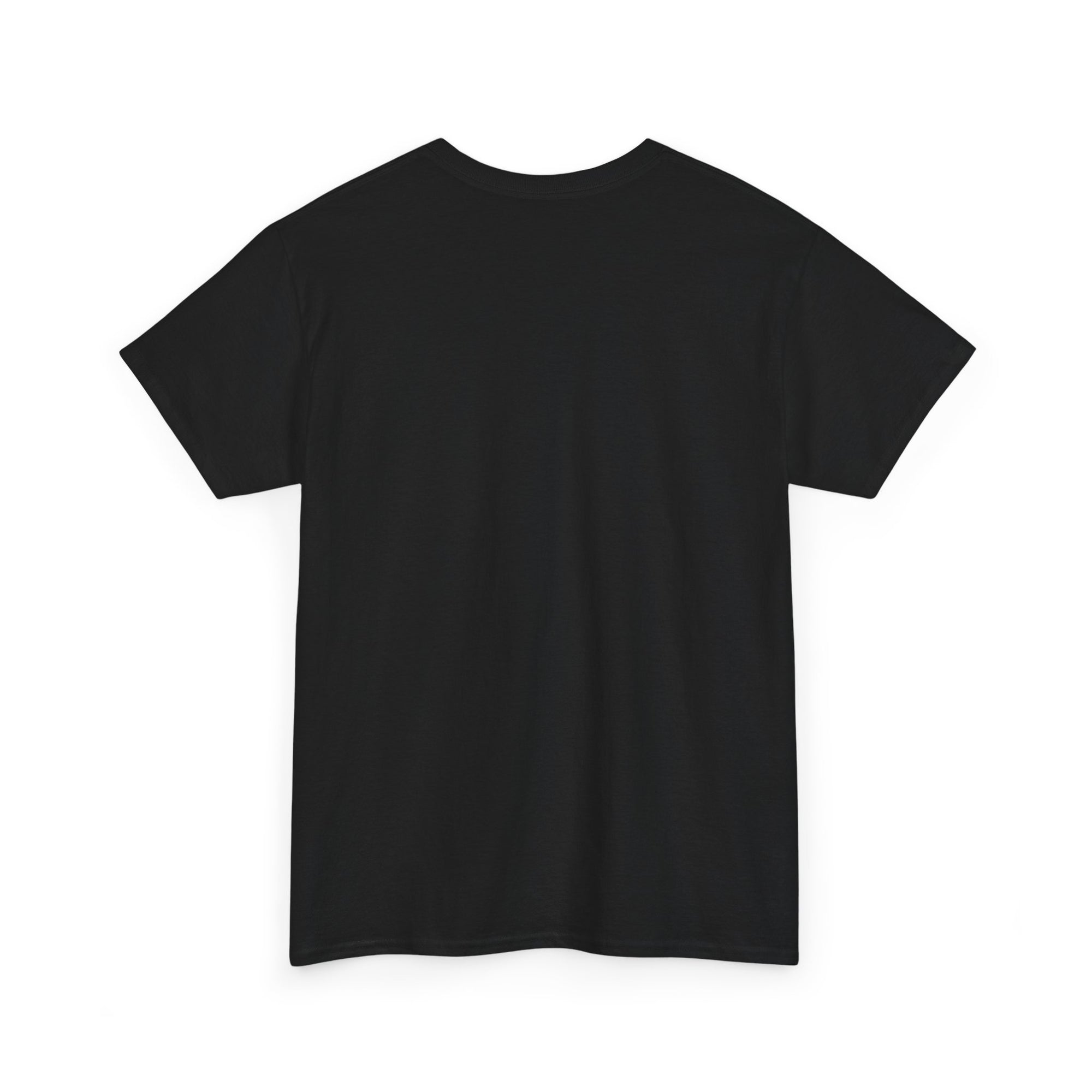 Aquarius | Gildan 5000 | Unisex Heavy Cotton Tee