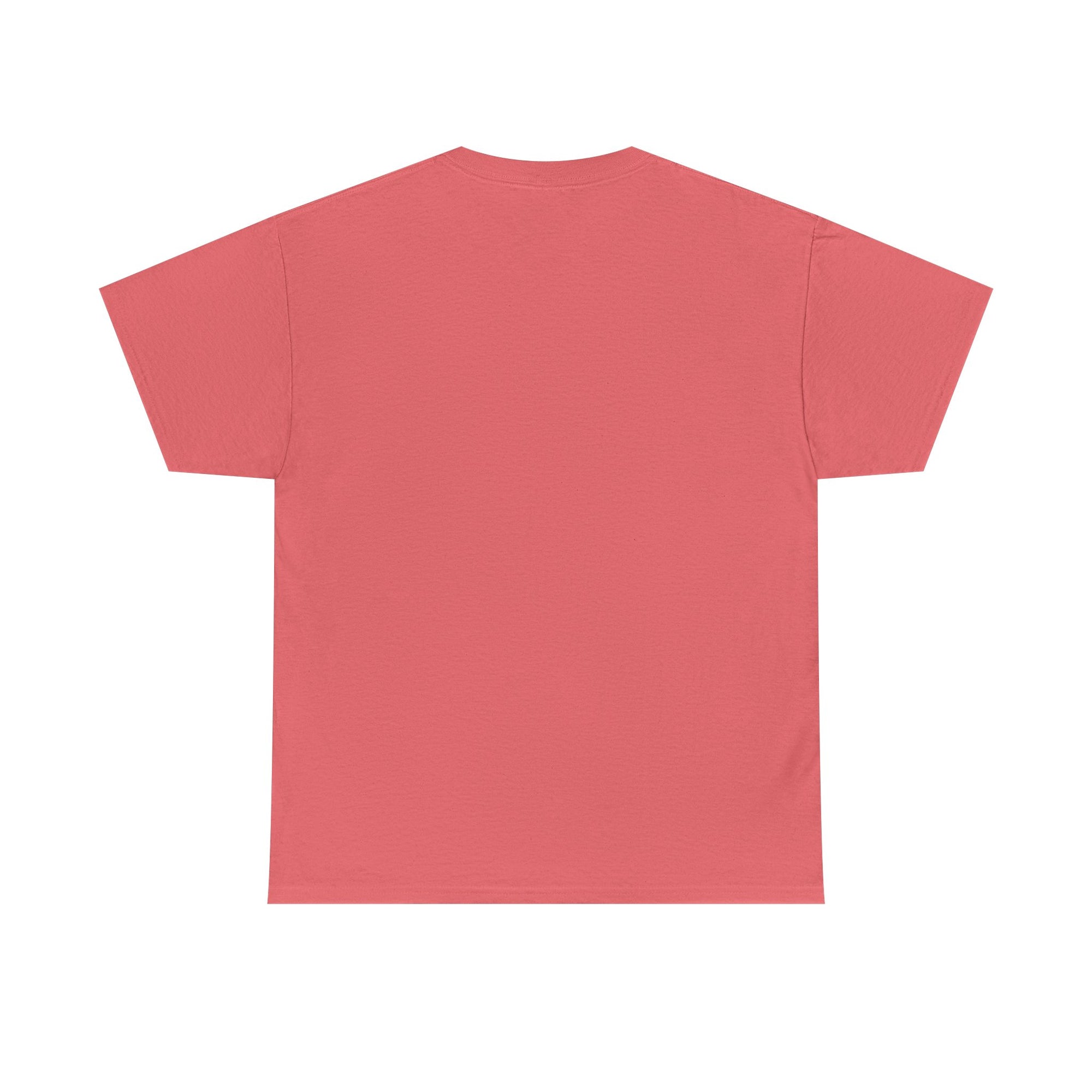 Aquarius | Gildan 5000 | Unisex Heavy Cotton Tee