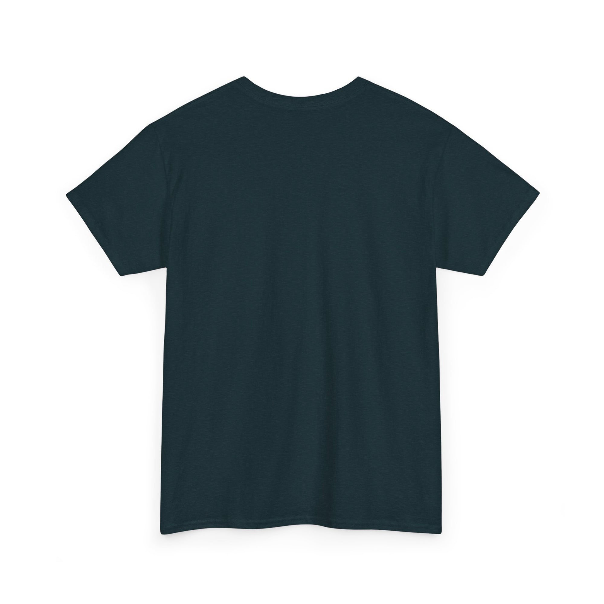 Aquarius | Gildan 5000 | Unisex Heavy Cotton Tee