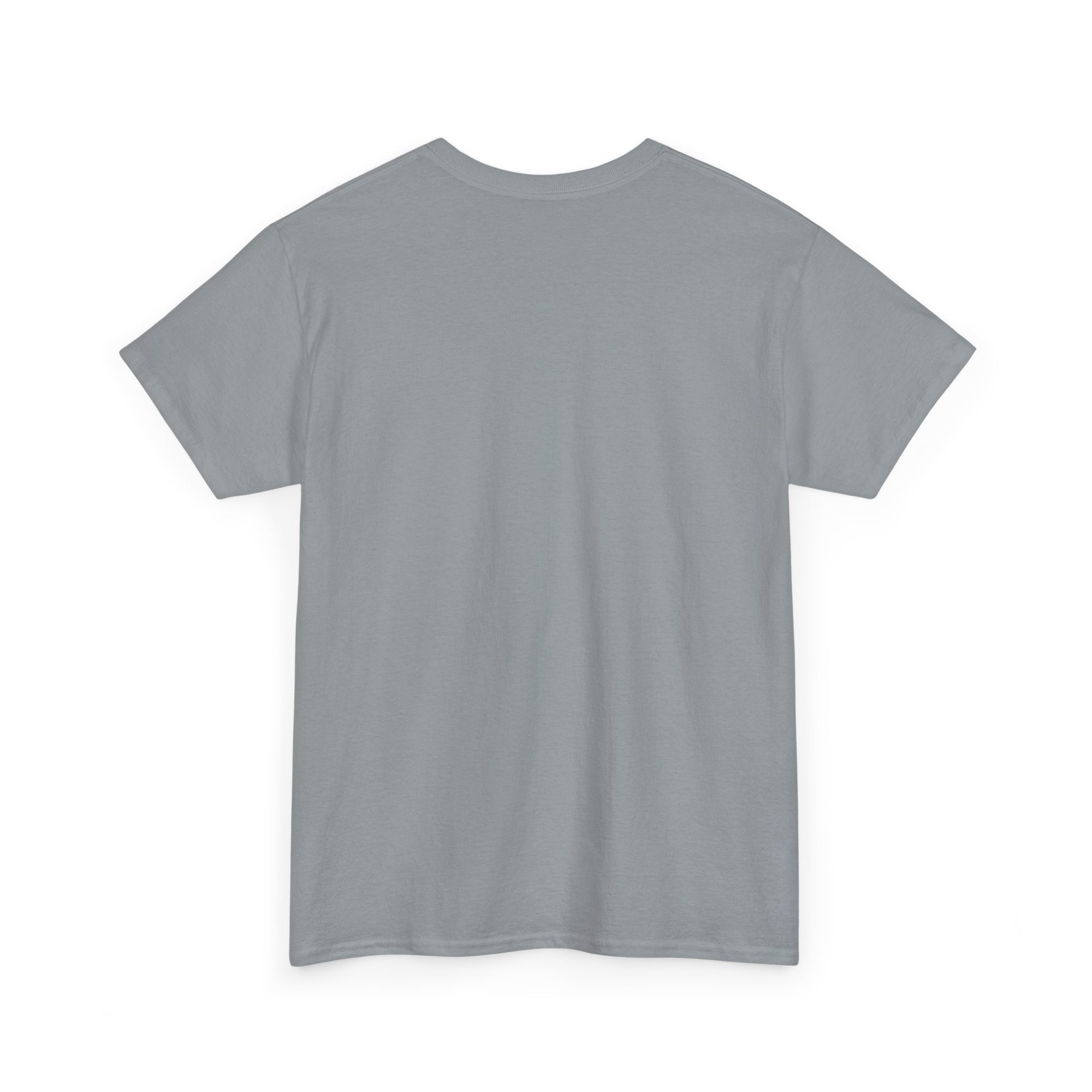 Aquarius | Gildan 5000 | Unisex Heavy Cotton Tee
